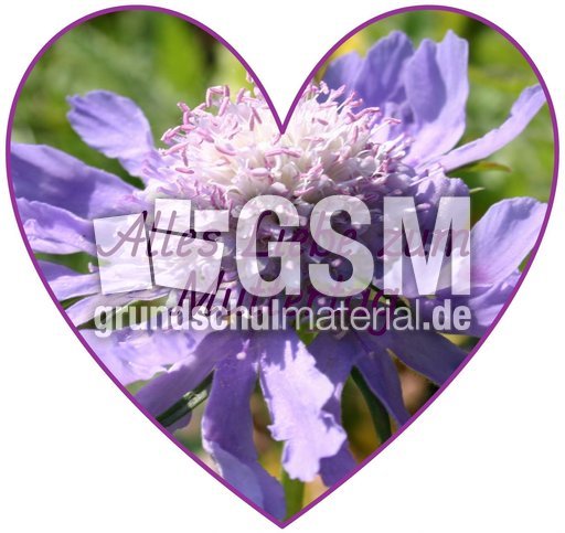 Herz-Foto-Muttertag_38.jpg